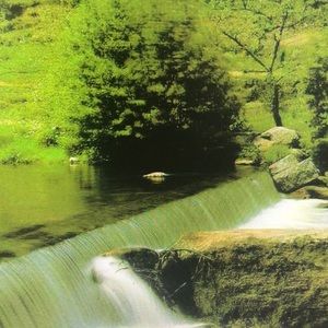 Meet your Posher, Shirley